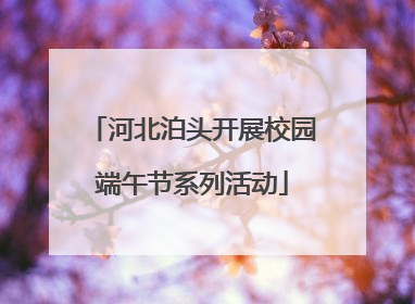 河北泊头开展校园端午节系列活动
