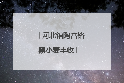 河北馆陶富铬黑小麦丰收