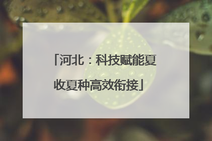 河北：科技赋能夏收夏种高效衔接