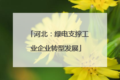 河北：绿电支撑工业企业转型发展