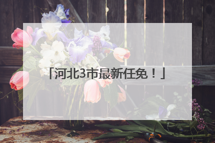 河北3市最新任免！