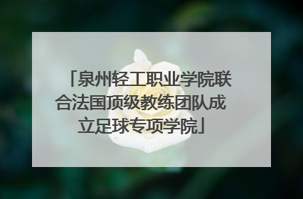 泉州轻工职业学院联合法国顶级教练团队成立足球专项学院