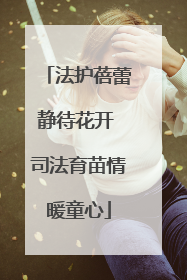 法护蓓蕾静待花开 司法育苗情暖童心