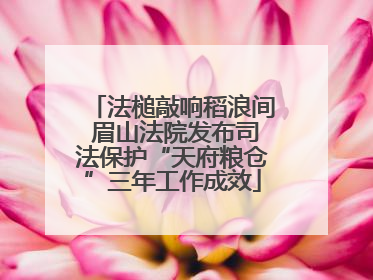 法槌敲响稻浪间 眉山法院发布司法保护“天府粮仓”三年工作成效