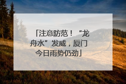 注意防范！“龙舟水”发威，厦门今日雨势仍劲