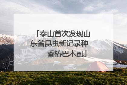 泰山首次发现山东省昆虫新记录种——香椿巴木虱