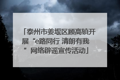 泰州市姜堰区顾高镇开展“e路同行 清朗有我”网络辟谣宣传活动