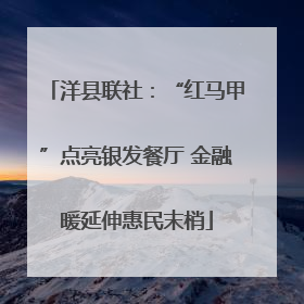 洋县联社：“红马甲”点亮银发餐厅 金融暖延伸惠民末梢
