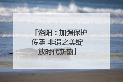 洛阳：加强保护传承 非遗之美绽放时代新韵