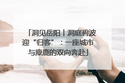 洞见岳阳丨洞庭碧波迎“归客”：一座城市与麋鹿的双向奔赴