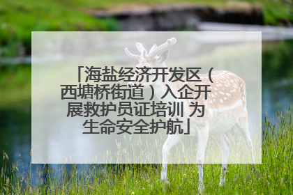 海盐经济开发区（西塘桥街道）入企开展救护员证培训 为生命安全护航
