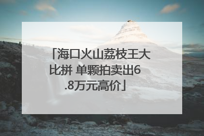 海口火山荔枝王大比拼 单颗拍卖出6.8万元高价
