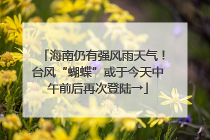 海南仍有强风雨天气！台风“蝴蝶”或于今天中午前后再次登陆→