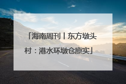 海南周刊丨东方墩头村：港水环墩仓廪实