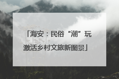海安：民俗“潮”玩激活乡村文旅新图景