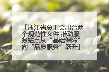 浙江省总工会出台两个规范性文件 推动服务站点从“基础保障”向“品质服务”跃升