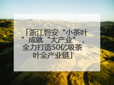 浙江磐安“小茶叶”成就“大产业”，全力打造50亿级茶叶全产业链