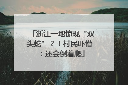 浙江一地惊现“双头蛇”？！村民吓懵：还会倒着爬