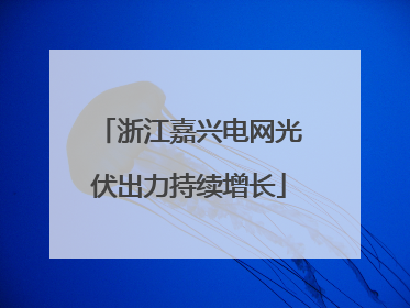 浙江嘉兴电网光伏出力持续增长