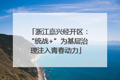 浙江嘉兴经开区：“统战+”为基层治理注入青春动力