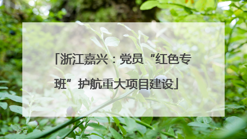 浙江嘉兴：党员“红色专班”护航重大项目建设