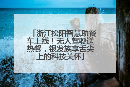浙江松阳智慧助餐车上线！无人驾驶送热餐，银发族享舌尖上的科技关怀