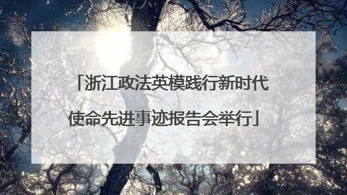 浙江政法英模践行新时代使命先进事迹报告会举行
