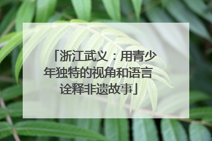 浙江武义：用青少年独特的视角和语言诠释非遗故事