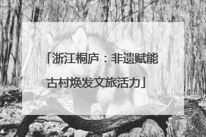 浙江桐庐：非遗赋能古村焕发文旅活力