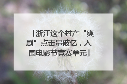 浙江这个村产“爽剧”点击量破亿，入围电影节竞赛单元