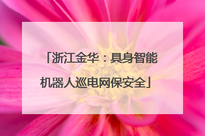 浙江金华：具身智能机器人巡电网保安全