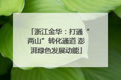 浙江金华：打通“两山”转化通道 澎湃绿色发展动能