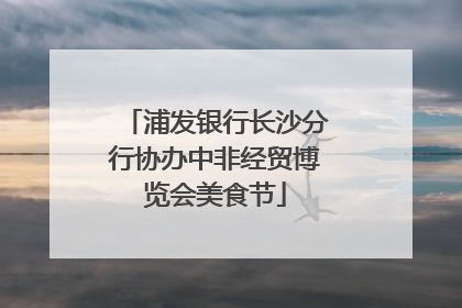 浦发银行长沙分行协办中非经贸博览会美食节