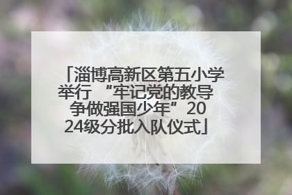 淄博高新区第五小学举行 “牢记党的教导 争做强国少年”2024级分批入队仪式