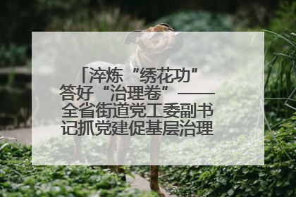 淬炼“绣花功” 答好“治理卷”——全省街道党工委副书记抓党建促基层治理培训示范班侧记