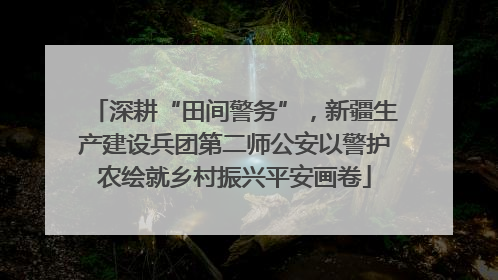 深耕“田间警务”，新疆生产建设兵团第二师公安以警护农绘就乡村振兴平安画卷