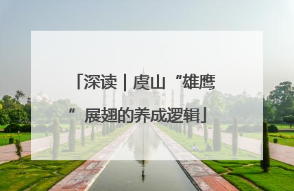 深读｜虞山“雄鹰”展翅的养成逻辑