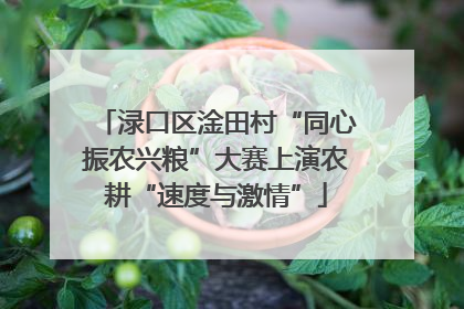 渌口区淦田村“同心振农兴粮”大赛上演农耕“速度与激情”