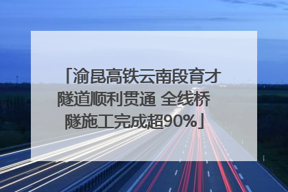 渝昆高铁云南段育才隧道顺利贯通 全线桥隧施工完成超90%