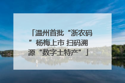 温州首批“浙农码”杨梅上市 扫码溯源“数字土特产”