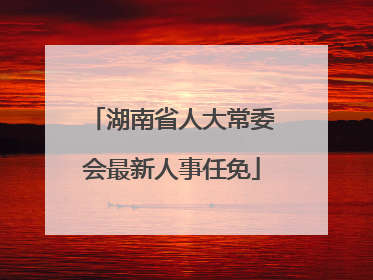 湖南省人大常委会最新人事任免