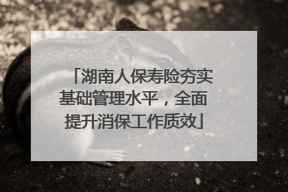 湖南人保寿险夯实基础管理水平，全面提升消保工作质效
