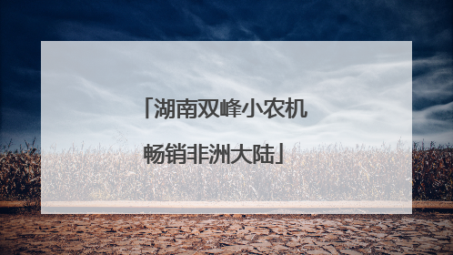 湖南双峰小农机畅销非洲大陆
