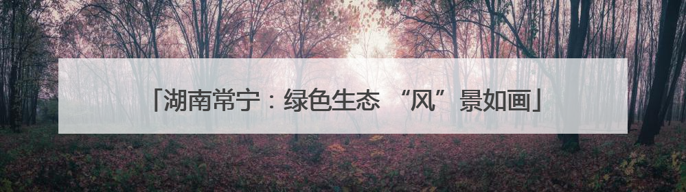 湖南常宁：绿色生态 “风”景如画