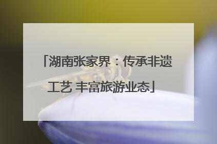 湖南张家界：传承非遗工艺 丰富旅游业态