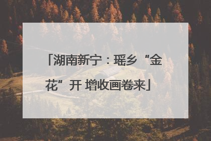 湖南新宁：瑶乡“金花”开 增收画卷来