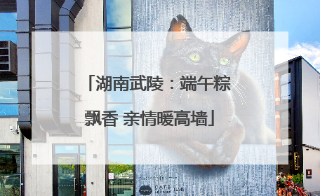 湖南武陵：端午粽飘香 亲情暖高墙