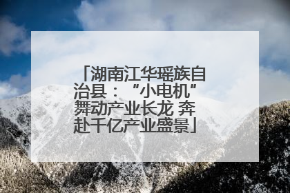 湖南江华瑶族自治县：“小电机”舞动产业长龙 奔赴千亿产业盛景