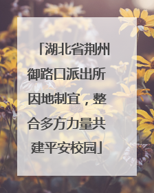 湖北省荆州御路口派出所因地制宜，整合多方力量共建平安校园