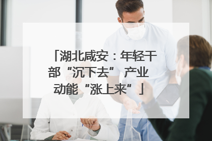 湖北咸安：年轻干部“沉下去” 产业动能“涨上来”